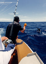 Conservation Side of Billfish