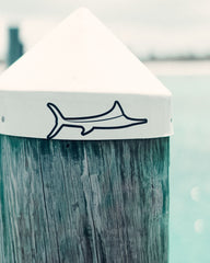 Billfish Logo Decal
